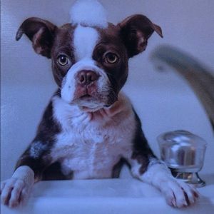 Meet your Posher, Marisol